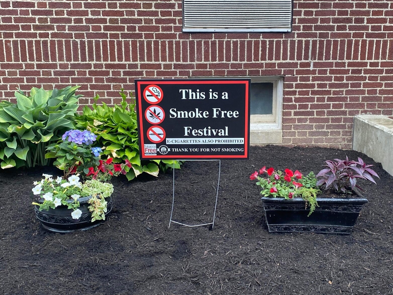 Lawn sign reads "This is a Smoke Free Festival"